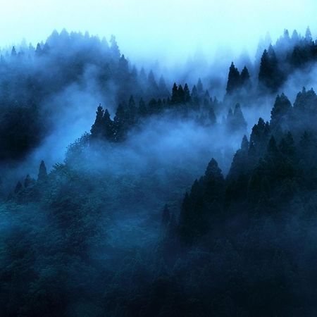 Apartmán "Mount'N Mist" Ella Exteriér fotografie