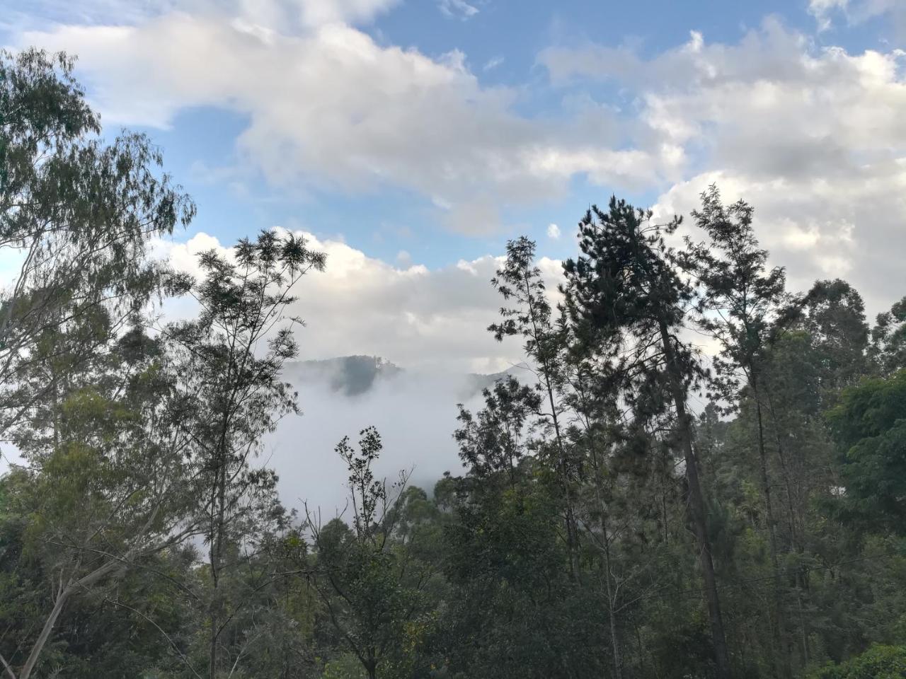 Apartmán "Mount'N Mist" Ella Exteriér fotografie