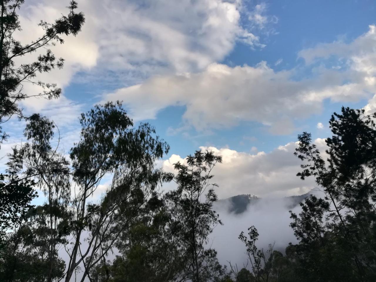 Apartmán "Mount'N Mist" Ella Exteriér fotografie